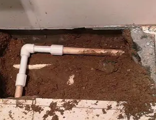 佳木斯市测漏水哪家好