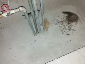 佳木斯市卫生间测漏水价格明细