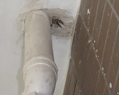 佳木斯市漏水检测哪家好